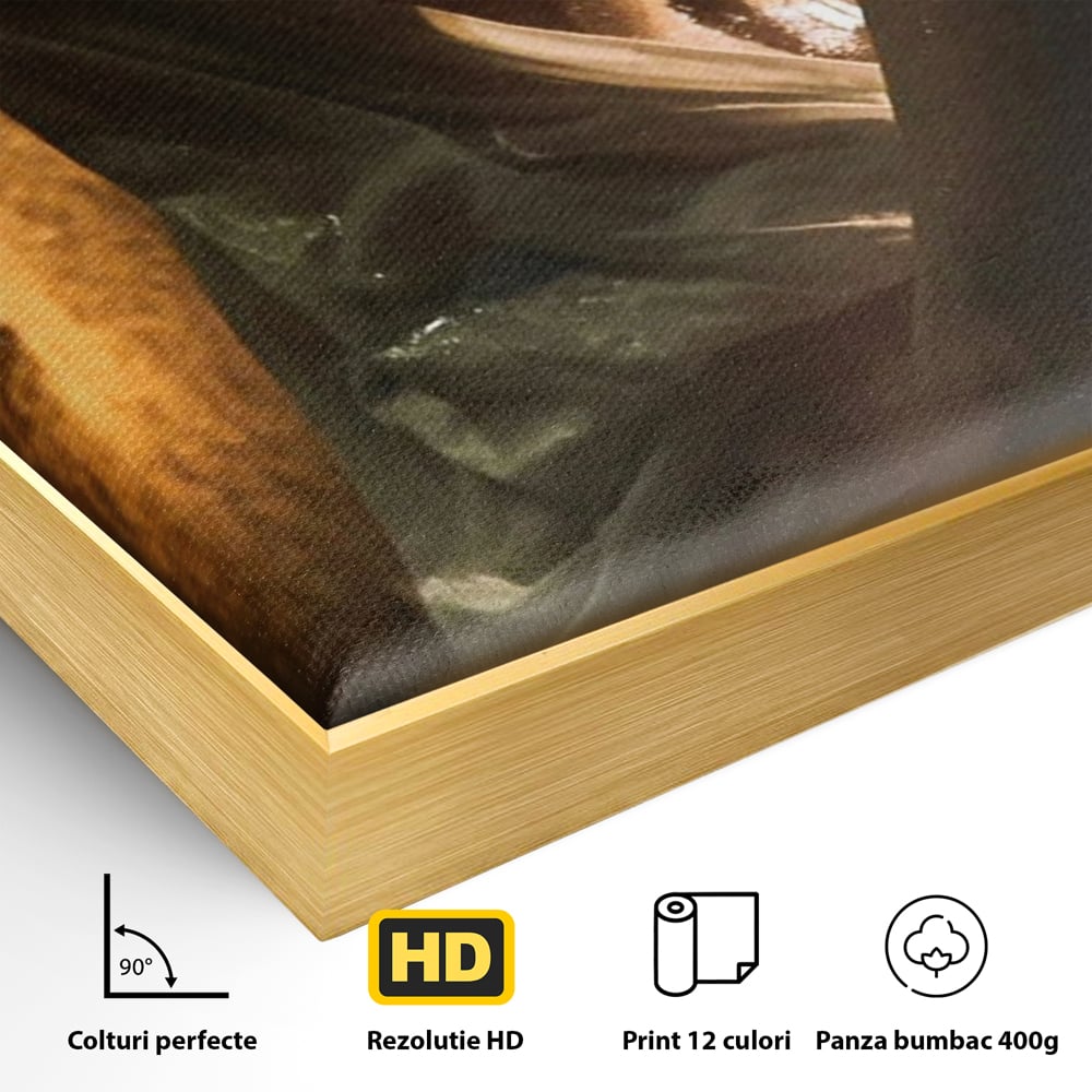 Detaliu al suprafetei: tablou canvas cu silueta umeda in lumina calda, in rama de aluminiu auriu